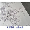 【有步骤】陈军工笔画白描底稿《佳果珍禽》桃花树小鸟初学者临摹花鸟线稿CJ18 商品缩略图4