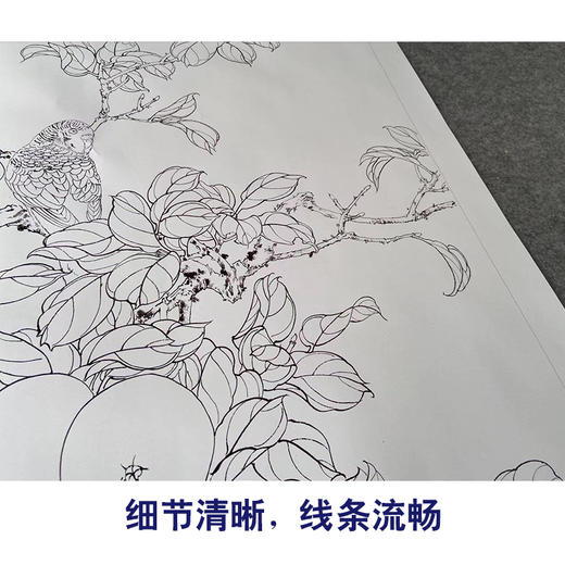 有步骤陈军工笔画白描底稿桃树小鸟佳果珍禽多种白描尺寸和步骤图可选