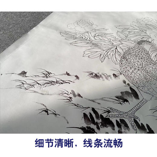 【有步骤】陈军四尺横幅工笔画白描底稿《红花锦羽》锦鸡牡丹初学者临摹花鸟线稿CJ22 商品图4