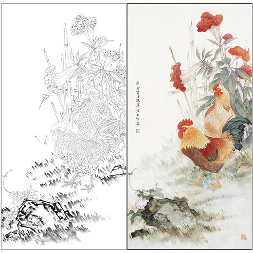 【有步骤】陈军工笔画白描底稿《冠上加冠》公鸡牵牛花初学者临摹花鸟线稿CJ21 商品图0