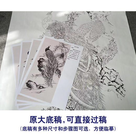 【有步骤】陈军工笔画白描底稿《春光明媚》孔雀初学者临摹花鸟线稿CJ31 商品图1