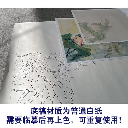 【有步骤】陈军工笔画白描底稿斗方小品《倩影》荷花初学者临摹花鸟线稿CJ05 商品图3
