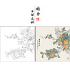 【有步骤】陈军工笔画白描底稿斗方小品《吉事连连》柿子麻雀初学者临摹花鸟线稿CJ17 商品缩略图0