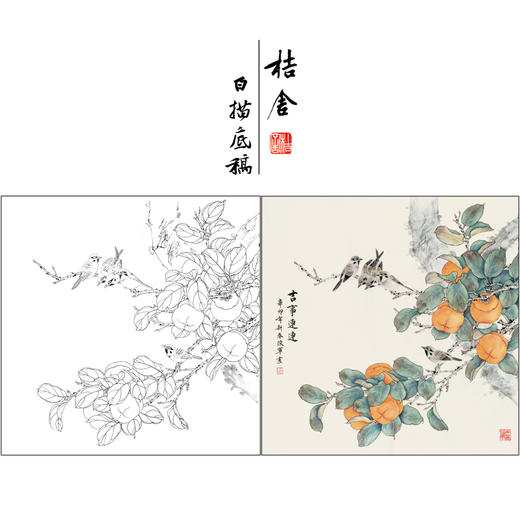 【有步骤】陈军工笔画白描底稿斗方小品《吉事连连》柿子麻雀初学者临摹花鸟线稿CJ17 商品图0