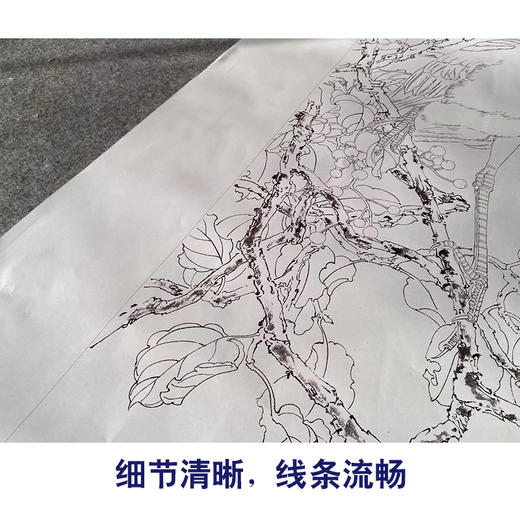 【有步骤】陈军工笔画白描底稿《池塘幽境》初学者临摹勾线花鸟线稿CJ14 商品图4