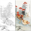 【有步骤】陈军四尺工笔画白描底稿《紫气迎祥》公鸡初学者临摹花鸟线稿CJ28 商品缩略图0