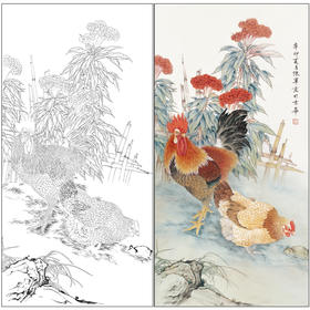 【有步骤】陈军四尺工笔画白描底稿《紫气迎祥》公鸡初学者临摹花鸟线稿CJ28