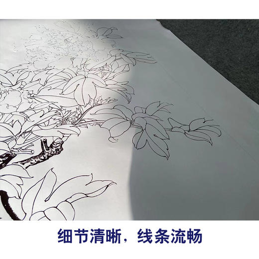 【有步骤】陈军工笔画白描底稿《群芳斗艳》牡丹蝴蝶初学者临摹花鸟线稿CJ13 商品图4