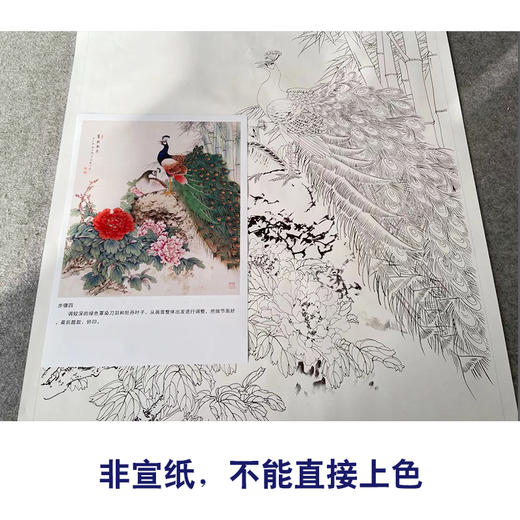 【有步骤】陈军工笔画白描底稿斗方小品《翠羽春华》孔雀牡丹初学者临摹花鸟线稿CJ36 商品图2