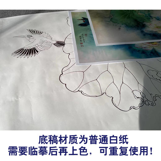 【有步骤】陈军工笔画白描底稿斗方小品《绿夏》荷花翠鸟初学者临摹花鸟线稿CJ04 商品图3