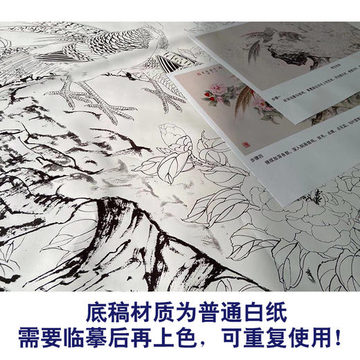 【有步骤】陈军横幅工笔画白描底稿《锦羽呈瑞》锦鸡牡丹初学者临摹花鸟线稿CJ25 商品图3