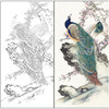 【有步骤】陈军工笔画白描底稿《春光明媚》孔雀初学者临摹花鸟线稿CJ31 商品缩略图0