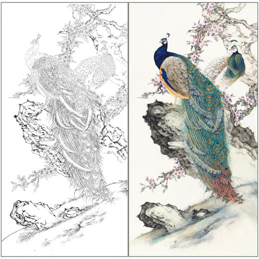 【有步骤】陈军工笔画白描底稿《春光明媚》孔雀初学者临摹花鸟线稿CJ31 商品图0