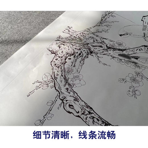 【有步骤】陈军工笔画白描底稿《繁花枝头闹春意》梅花黄鹂初学者临摹花鸟线稿CJ06 商品图4