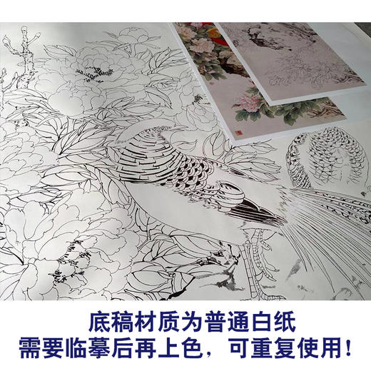【有步骤】陈军工笔画白描底稿《依红理绣》锦鸡牡丹初学者临摹花鸟线稿CJ27 商品图3