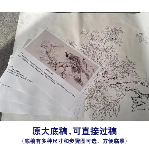 【有步骤】陈军横幅工笔画白描底稿《春融翠羽红满堂》孔雀海棠花初学者临摹花鸟线稿CJ35 商品图1