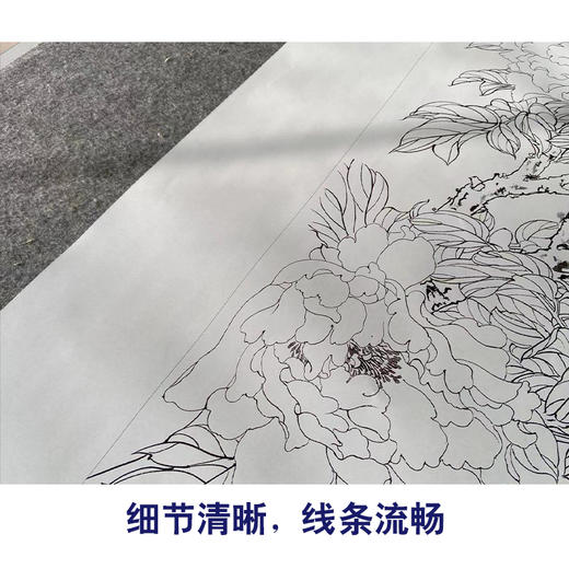 【有步骤】陈军工笔画白描底稿《锦上添花》锦鸡牡丹初学者临摹花鸟线稿CJ24 商品图4