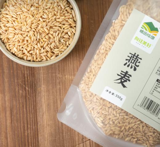 粮田拾趣燕麦米350g 商品图0