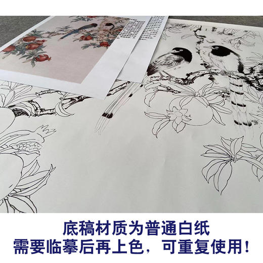 【有步骤】陈军工笔画白描底稿《金秋果实》石榴蓝鹊初学者临摹花鸟线稿CJ08 商品图3