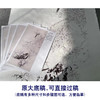 【有步骤】陈军工笔画白描底稿《春色满园》斑鸠海棠花初学者临摹花鸟线稿CJ15 商品缩略图1