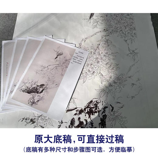 【有步骤】陈军工笔画白描底稿《春色满园》斑鸠海棠花初学者临摹花鸟线稿CJ15 商品图1