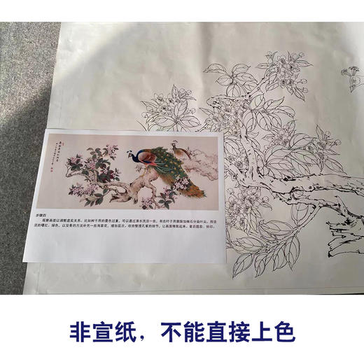 【有步骤】陈军横幅工笔画白描底稿《春融翠羽红满堂》孔雀海棠花初学者临摹花鸟线稿CJ35 商品图2