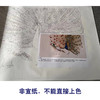 【有步骤】陈军四尺横幅工笔画白描底稿《孔雀开屏》孔雀初学者临摹动物线稿CJ38 商品缩略图2