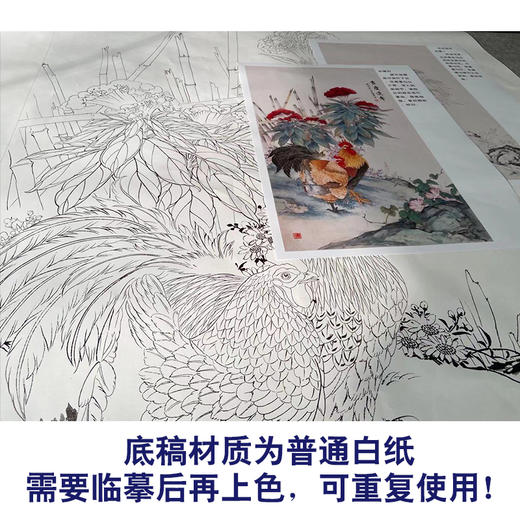 【有步骤、大彩图】陈军工笔画白描底稿《吉庆连年》公鸡鸡冠花初学者临摹花鸟线稿CJ23 商品图3