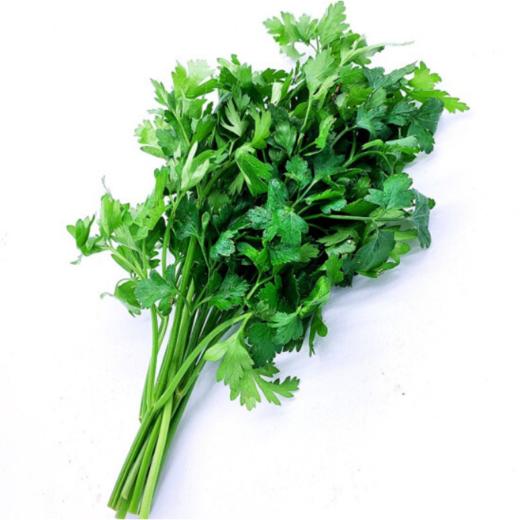 q欧芹意大利芹次日发货