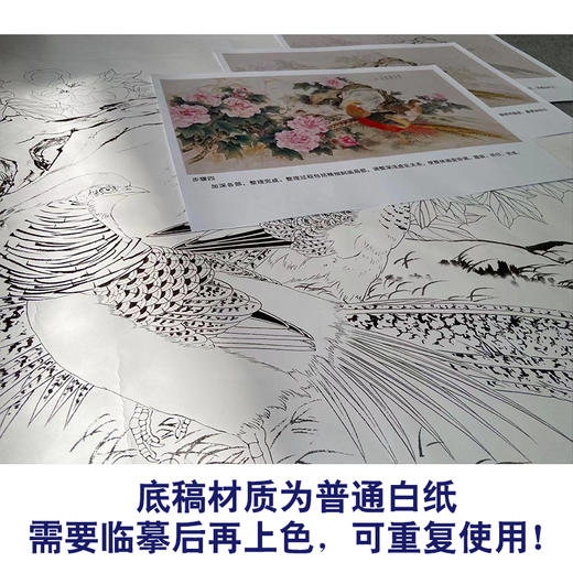 【有步骤】陈军四尺横幅工笔画白描底稿《水畔荣花》锦鸡初学者临摹花鸟线稿CJ19 商品图3