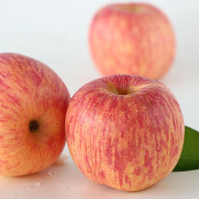 有机烟台红富士苹果7斤装