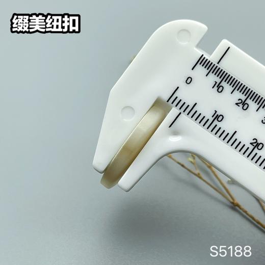 S5188(整包购买) 商品图10