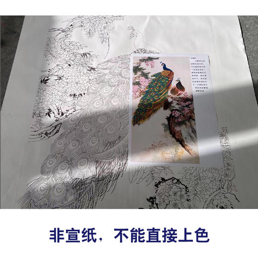 【有步骤】陈军四尺工笔画白描底稿《花开烂漫》孔雀初学者临摹花鸟线稿CJ32 商品图2