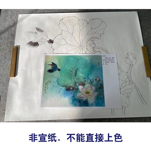 【有步骤】陈军工笔画白描底稿斗方小品《绿夏》荷花翠鸟初学者临摹花鸟线稿CJ04 商品图2