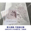 【有步骤】陈军工笔画白描底稿斗方小品《翠羽春华》孔雀牡丹初学者临摹花鸟线稿CJ36 商品缩略图1