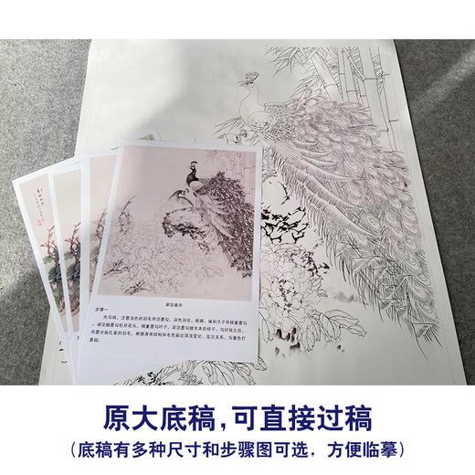 【有步骤】陈军工笔画白描底稿斗方小品《翠羽春华》孔雀牡丹初学者临摹花鸟线稿CJ36 商品图1