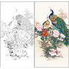 【有步骤】陈军工笔画白描底稿《雍容华贵》孔雀牡丹初学者临摹花鸟线稿CJ34 商品缩略图0