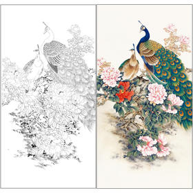 【有步骤】陈军工笔画白描底稿《雍容华贵》孔雀牡丹初学者临摹花鸟线稿CJ34