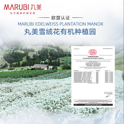 丸美氨基酸洗面奶女 洁面乳 护肤化妆品 男女适用 雪绒花纯净保湿洁面乳120g（深层清洁 清爽控油 温和补水）10002970 商品图2