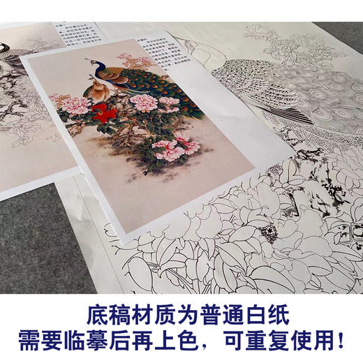 【有步骤】陈军工笔画白描底稿《雍容华贵》孔雀牡丹初学者临摹花鸟线稿CJ34 商品图3