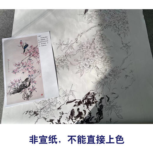 【有步骤】陈军工笔画白描底稿《春色满园》斑鸠海棠花初学者临摹花鸟线稿CJ15 商品图2