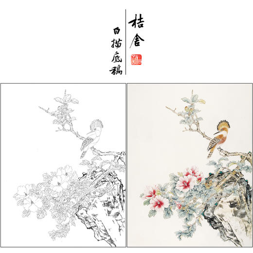 【有步骤】陈军工笔画白描底稿斗方小品《花艳禽来更多彩》牡丹戴胜鸟初学者临摹花鸟线稿CJ12 商品图0