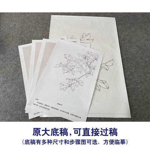 【有步骤】陈军工笔画白描底稿《春暖花开》牡丹初学者临摹花鸟线稿CJ10 商品图1