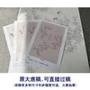 【有步骤】陈军工笔画白描底稿斗方小品《枝头春色》桃花太平鸟初学者临摹花鸟线稿CJ20 商品缩略图1
