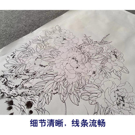 【有步骤】陈军横幅工笔画白描底稿《依红理绣》孔雀牡丹初学者临摹花鸟线稿CJ33 商品图4