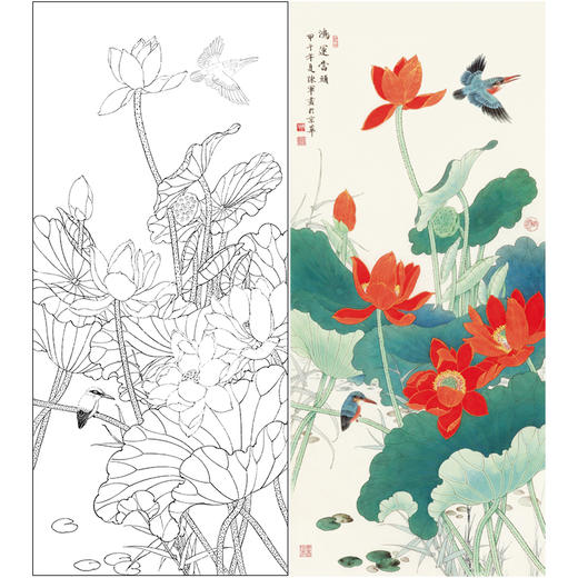 【有步骤、大彩图】陈军工笔画白描底稿《鸿运当头》荷花翠鸟初学者临摹花鸟线稿CJ02 商品图0