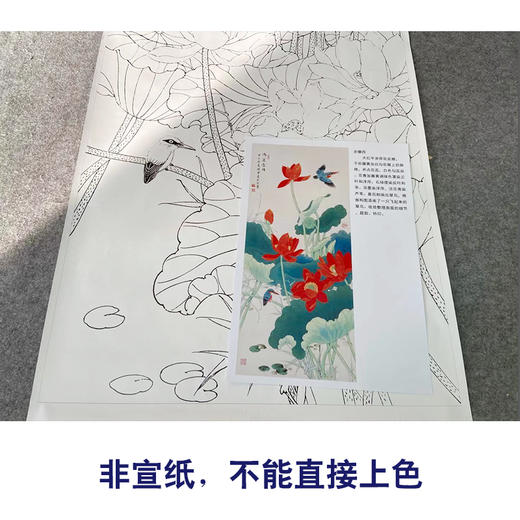 【有步骤、大彩图】陈军工笔画白描底稿《鸿运当头》荷花翠鸟初学者临摹花鸟线稿CJ02 商品图2