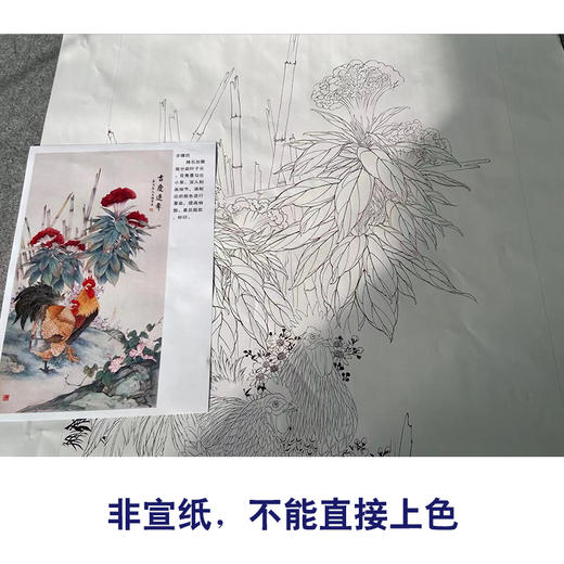 【有步骤、大彩图】陈军工笔画白描底稿《吉庆连年》公鸡鸡冠花初学者临摹花鸟线稿CJ23 商品图2