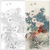 【有步骤】陈军工笔画白描底稿《锦羽国色》锦鸡牡丹初学者临摹花鸟线稿CJ26 商品缩略图0