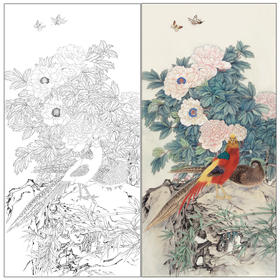 【有步骤】陈军工笔画白描底稿《锦羽国色》锦鸡牡丹初学者临摹花鸟线稿CJ26